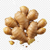 Ginger