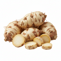 Maca Root